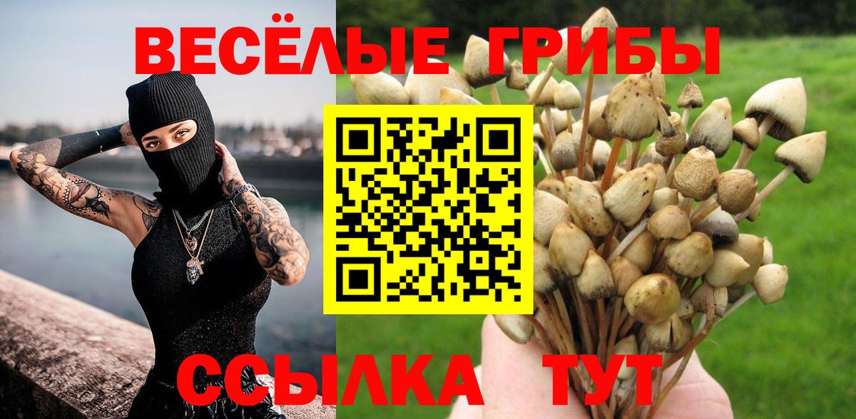 Десногорск  Галлюциногенные грибы Psilocybe  Вход с VPN  Галлюциногенные грибы Cubensis 